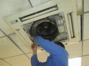 河源家電經銷商拓展家電清洗服務 增收新機遇與實施策略